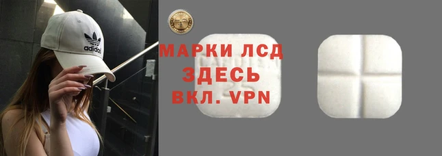 гидропоника Нефтегорск