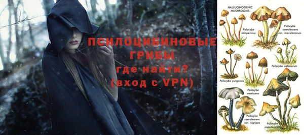 гидропоника Нефтегорск